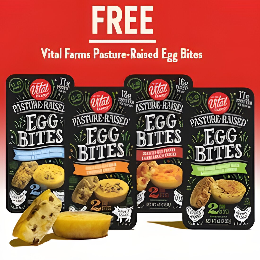 Free Vital Farms Pasture-Raised Egg Bites Product