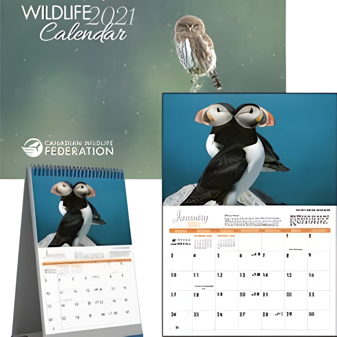 Free 2021 Wildlife Calendar