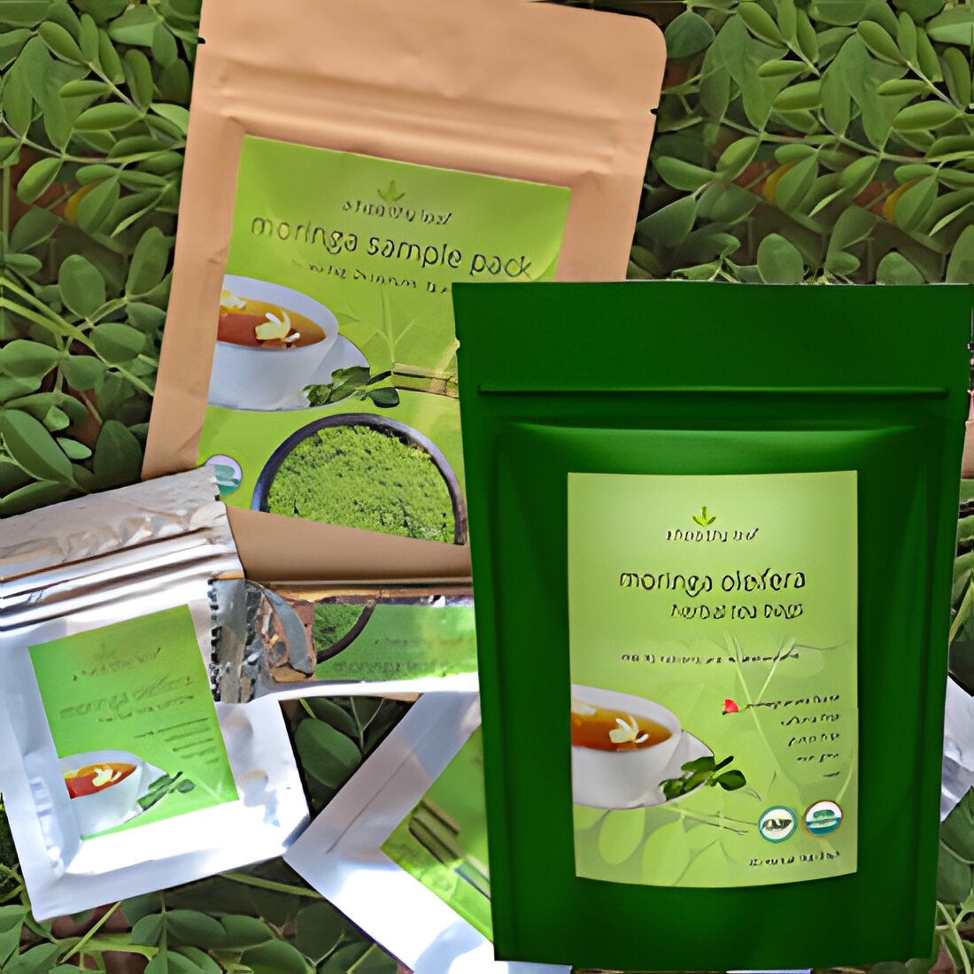 Free Moringa Tea Sample Pack