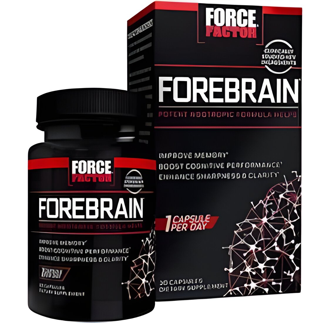 Free Force Factor ForeBrain Sample