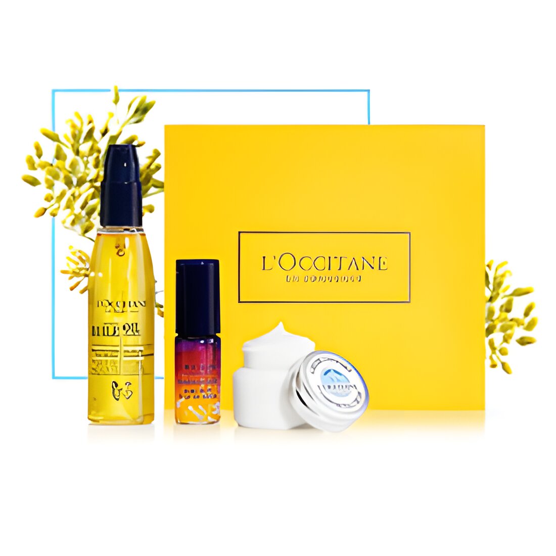 Free L'occitane Skincare Sample Set