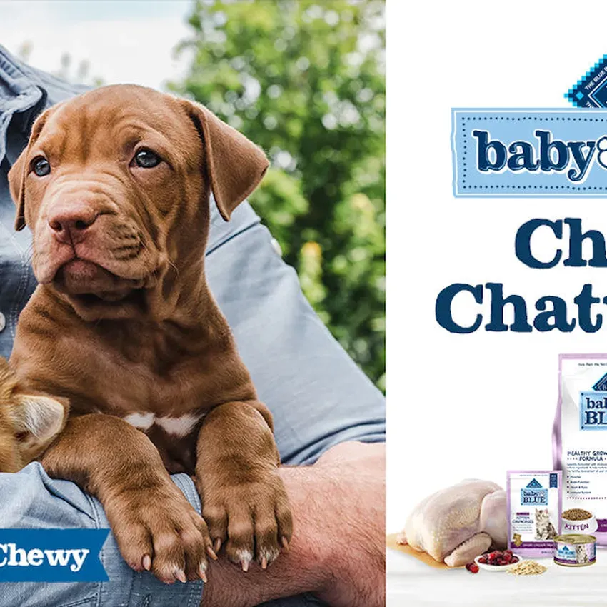 Free Blue Buffalo Valentines Day Be Mine Bars Chatterbox Kit
