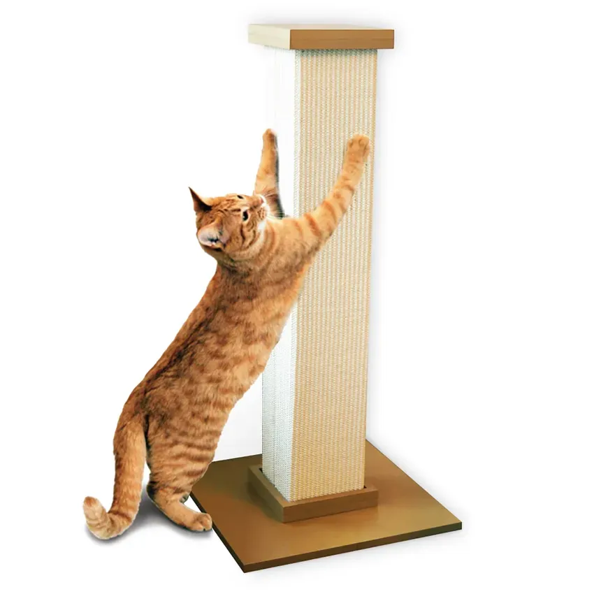 Free Catify Climb N Scratch Post