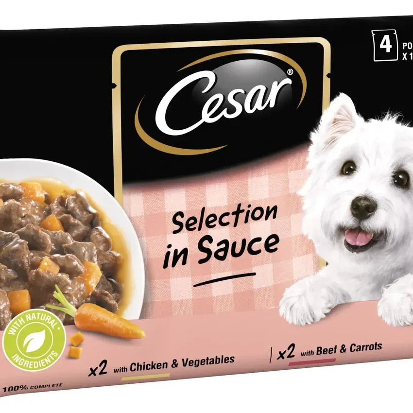 Free Cesar Wet Dog Food Pouch From Dollar General