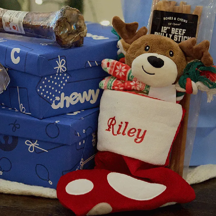 Free Chewy Claus Holiday Gift Boxes