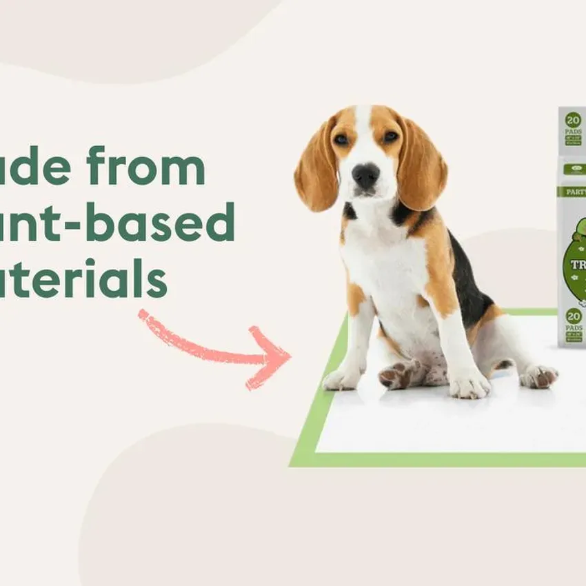 Free Earth Rated Pee Pads