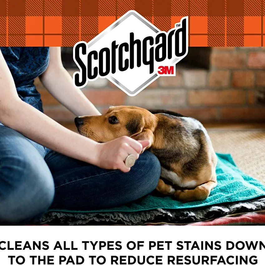 Free Ecostrongs Oxy Pet Carpet Cleaner