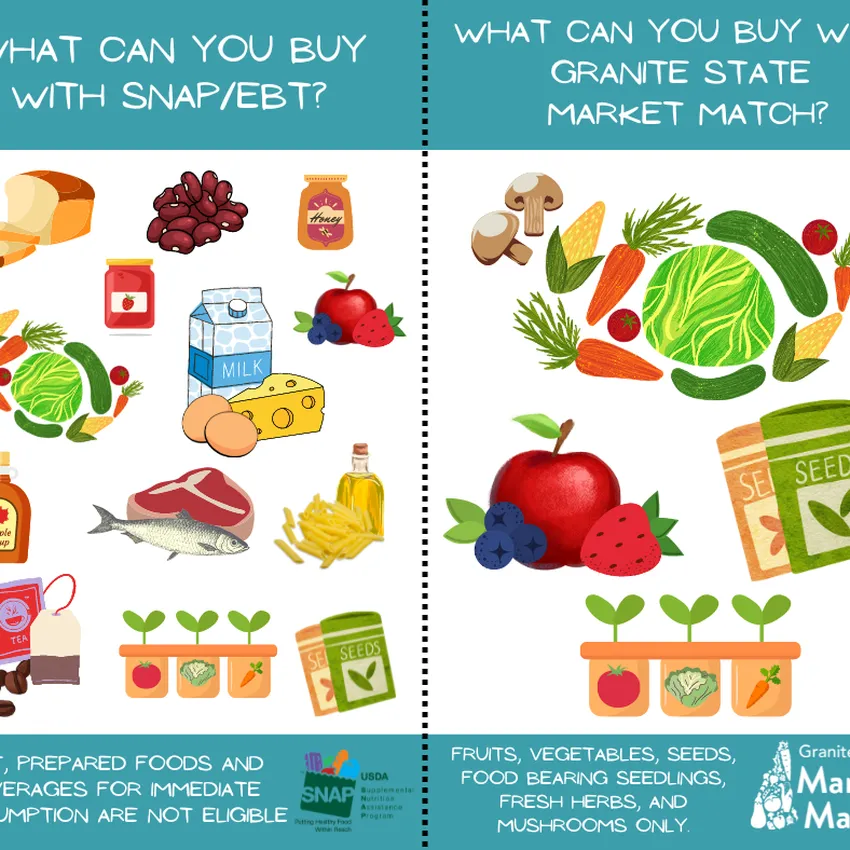 Free Groceries From Gopuff