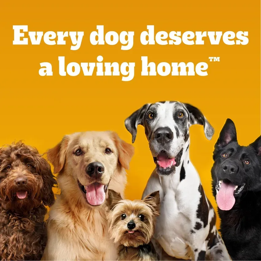 Free Pedigree Drizzlers Dog Food At Dollar General