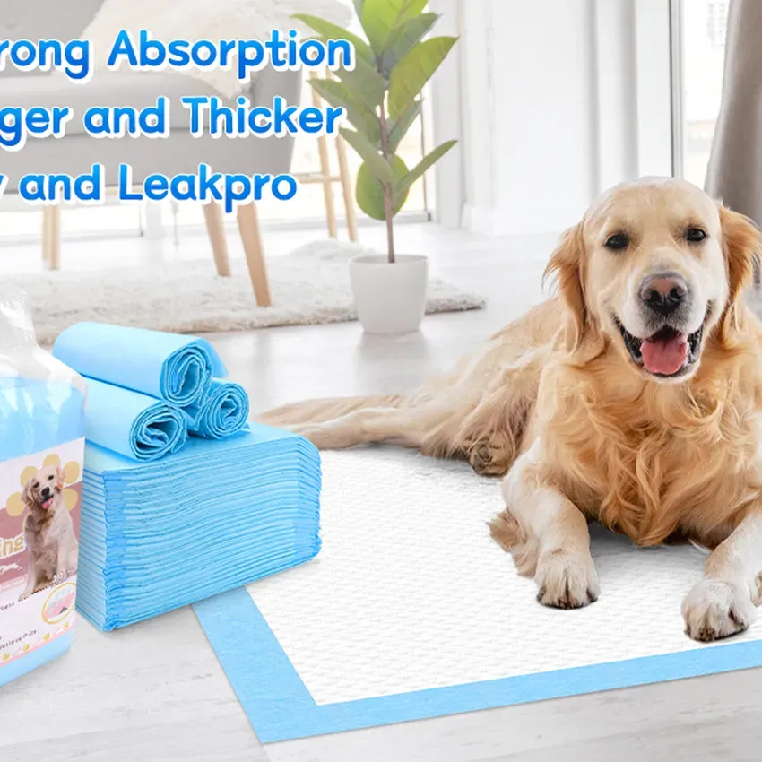 Free Pee Pads Products From Home Tester Club