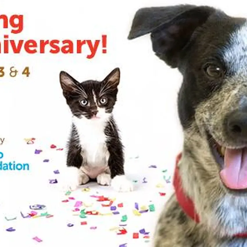 Free Pet Events At Petco Stores