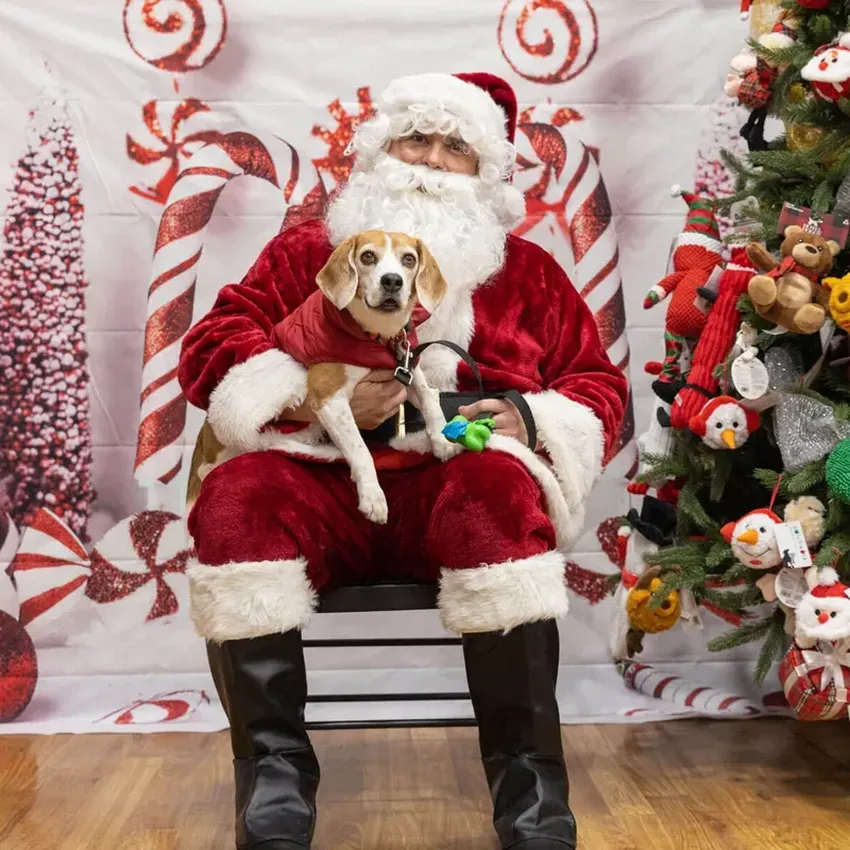 Free Pet Photos With Santa From Petco