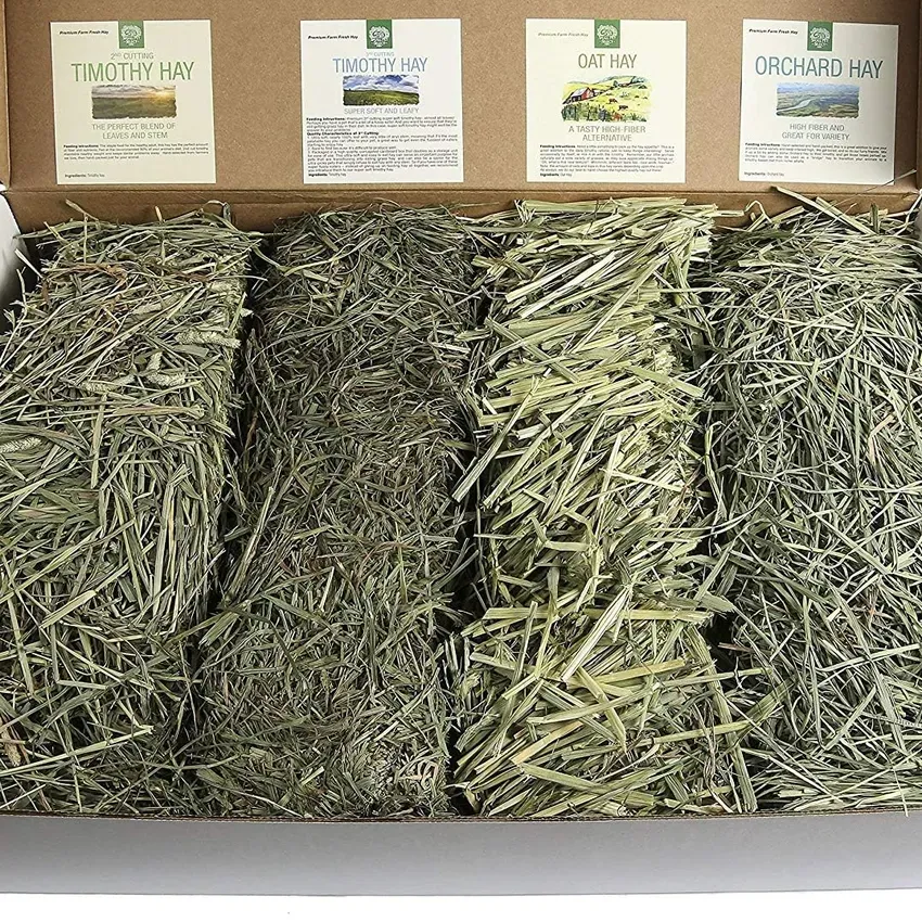 Free Small Pet Select Timothy Hay