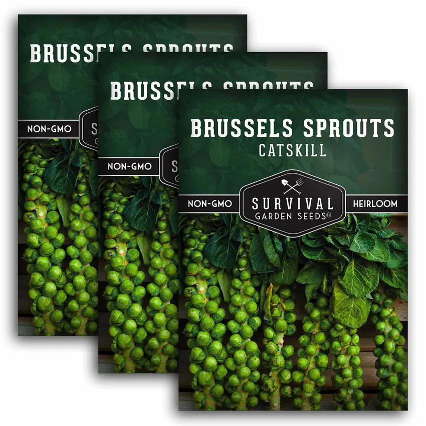 Free Sprout Into Action Seed Packet From Moveon