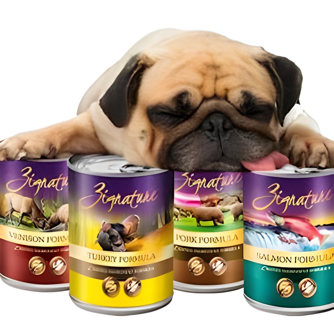 Free Zignature Dog Food Sample