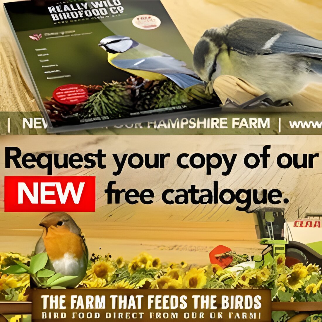 Free Really Wild Birdfood Catalogue