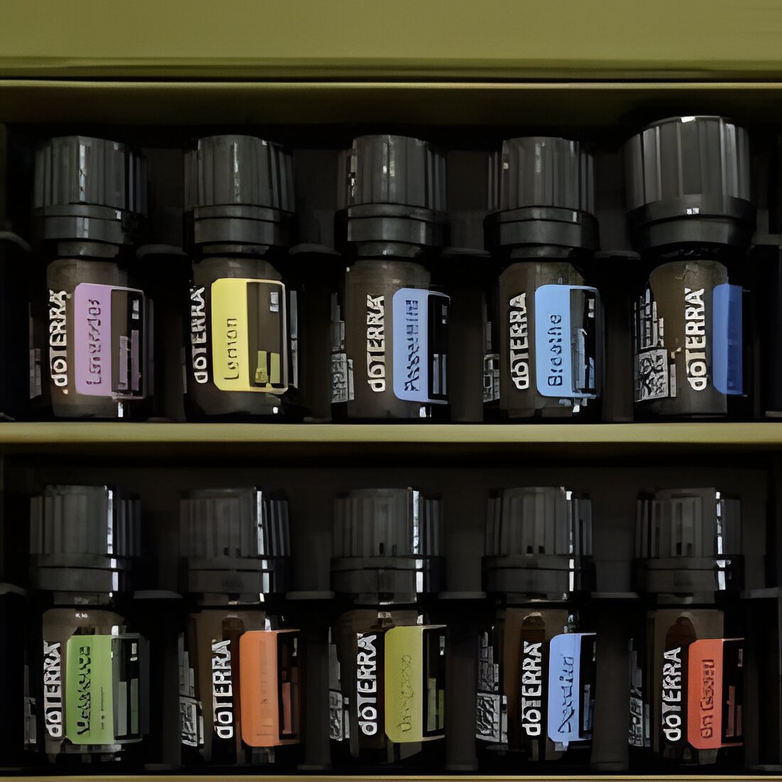 Free Doterra Essential Oil Sample